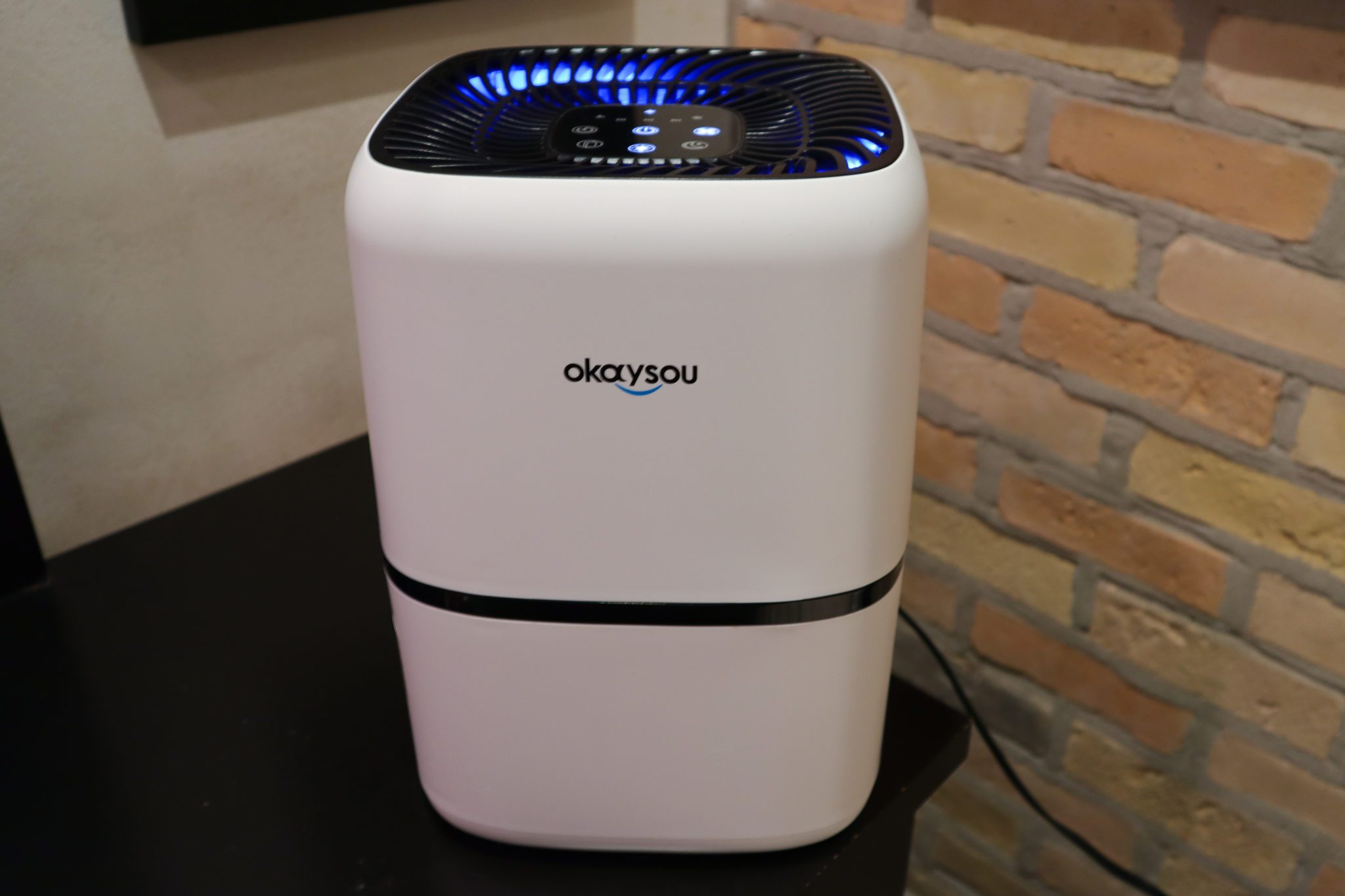 TESTED Okaysou AirMic4s Air Purifer ADDICTED