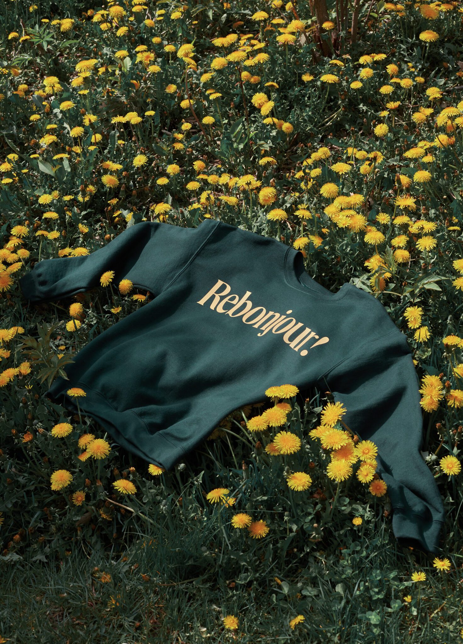 FEQ green sweater that says Rebonjour in yellow font. The sweater is in a field of dandelions.