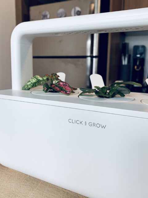 click & grow