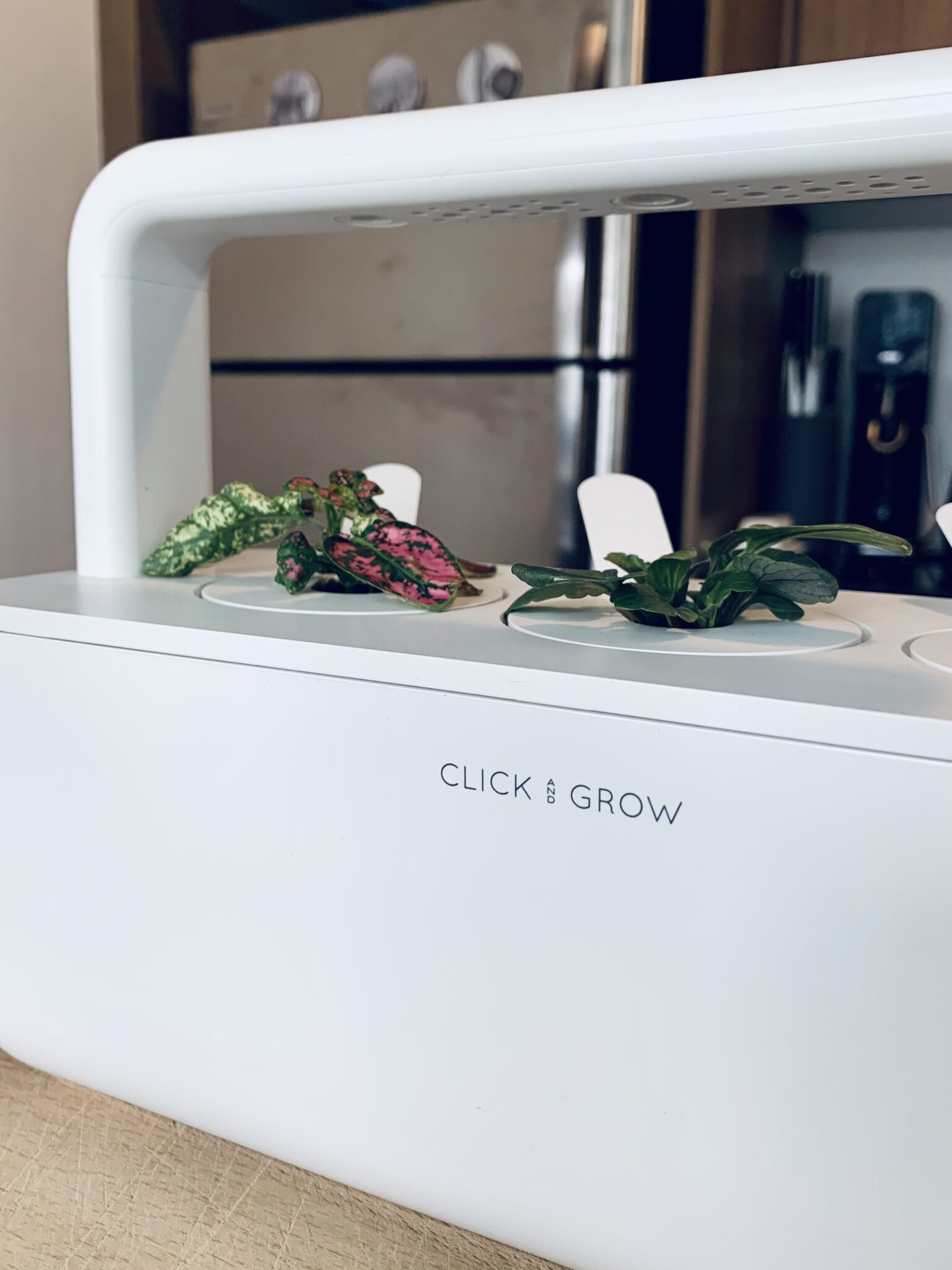 Giveaway: Start the Perfect Indoor Garden with Click & Grow click & grow