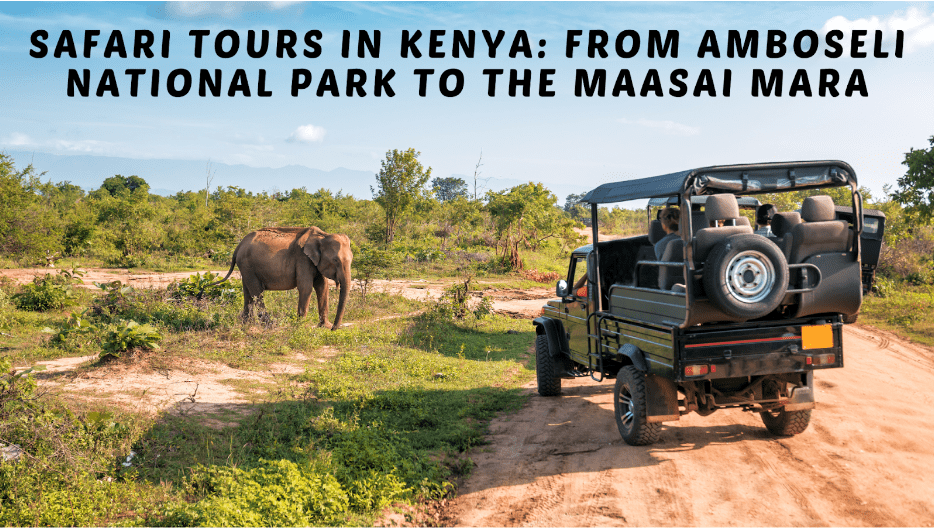 Safari Tours in Kenya: From Amboseli National Park to the Maasai Mara