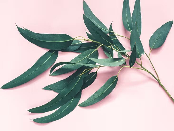 How to Properly Care for Your Eucalyptus Sheets to Make Them Last